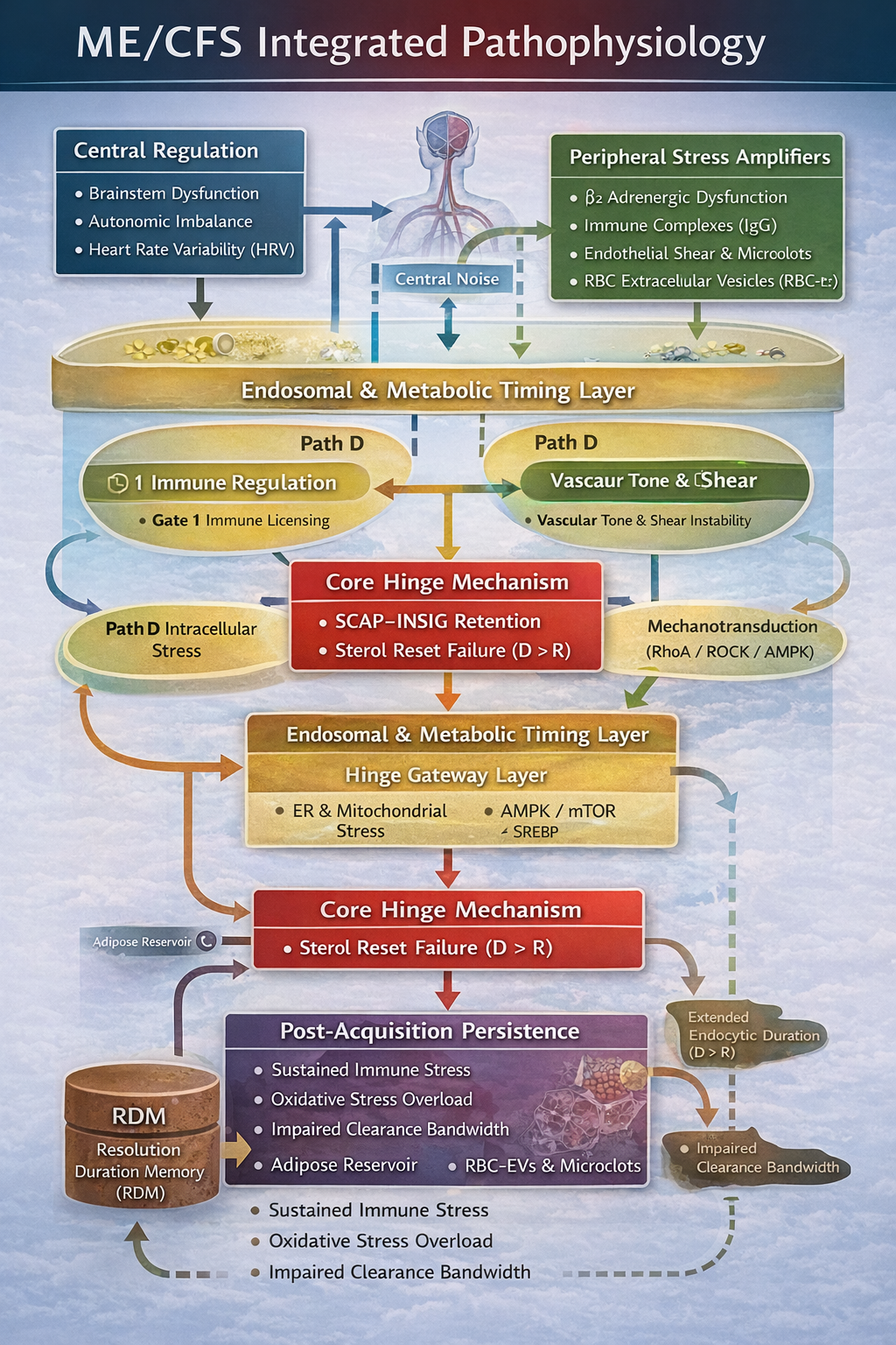 Integrated ME/CFS control-state diagram showing central regulation, peripheral stress amplifiers, endosomal and metabolic timing layers, sterol-reset hinge (D greater than R), and post-acquisition persistence including RDM and impaired clearance.